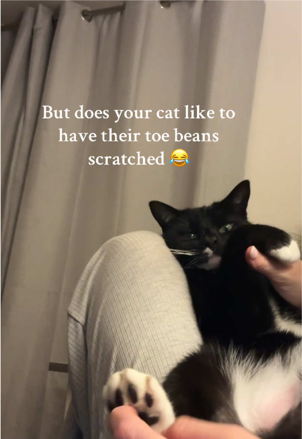 He’s quirky  #tuxedocatvideo #funnyboycat  #fypcatsandkittens #blackandwhitecatvideo #trending