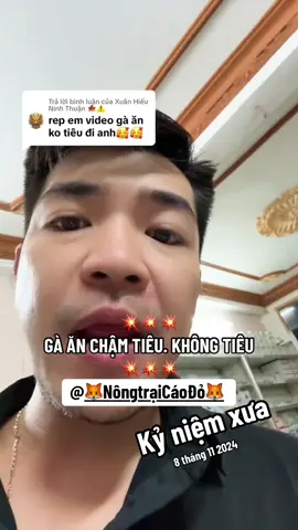 GÀ ĂN KHÔNG TIÊU 🥰 #animals #viral #viralvideo #tiktok #gà_chọi_việt_nam 