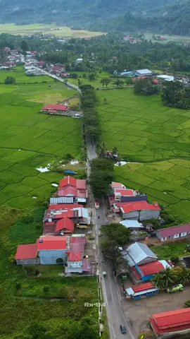 Sawah laweh view😍 @fbr94 #sawhlawehpadang #viewsawah #minangrancak #fyp