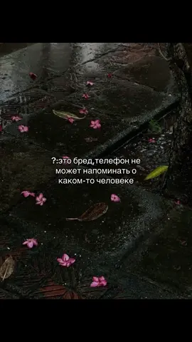 #11iphone #11 #телефон 