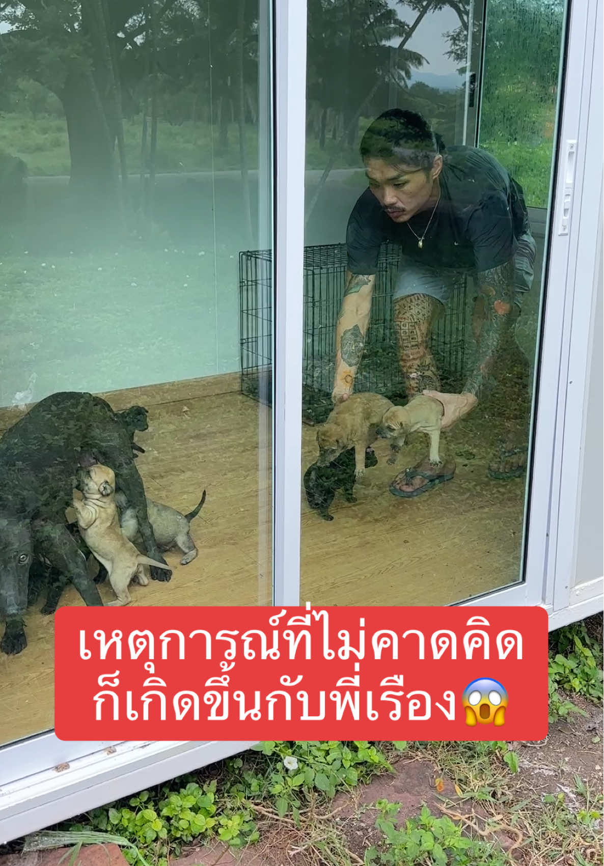 และแล้วเหตุการณ์ที่ไม่คาดคิดก็เกิดขึ้นขึ้นกับพี่เรืองค่ะทุกคน อยากจะบอกว่าวันนี้นกกับพี่เรืองทำเต็มที่ทั้งวันเลยค่ะ ควรทำยังไงต่อไปดีคะ🥺##แฟนเกาหลี🇰🇷🇹🇭เรือง##แฟนเกาหลี🇰🇷🇹🇭##fypシ##พี่เรือง##พี่เรืองเขยไทย