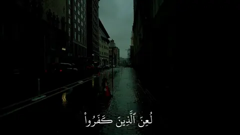 ﴿لُعِنَ الَّذينَ كَفَروا مِن بَني إِسرائيلَ عَلى لِسانِ داوودَ وَعيسَى ابنِ مَريَمَ: ٧٨]#ماهرالمعيقلي #سورة_المائدة #اكتب_شي_توجر_عليه 