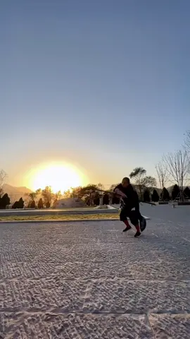 中国功夫十八般武艺每天更新 #martialarts #JackieChan #Chinese Kung Fu#kungfu