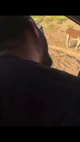 erkeklerin tek anlaşamadığı varlık kadınlar 🤣🤣 #komedialemi #komedi #mi̇zah #funny #şaka 