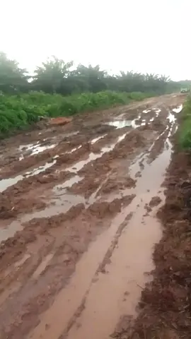 #CapCut #setoritiktok #fyp ppp