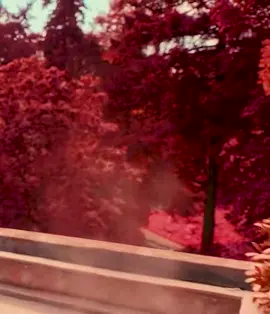 Phillies land All-Star closer Joan Duran ahead of MLB trade deadline👀🔥 #MLBTradeDeadline #Phillies #BaseballUpdates #SportsNews