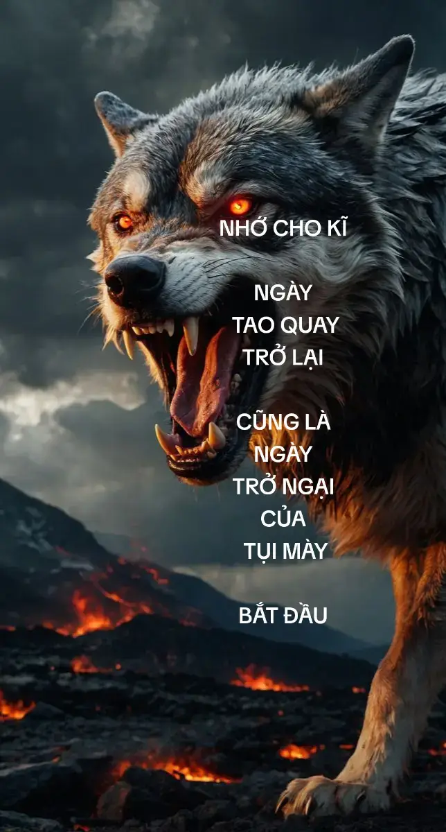 #xuhuongtiktok 