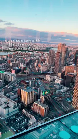 #lovefamily🌹🤍 #memories #srilanka🇱🇰 #japanmemories🇯🇵 