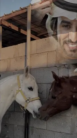 #CapCut #فهد_بن_فصلا #انا #مقدر #اعيش 