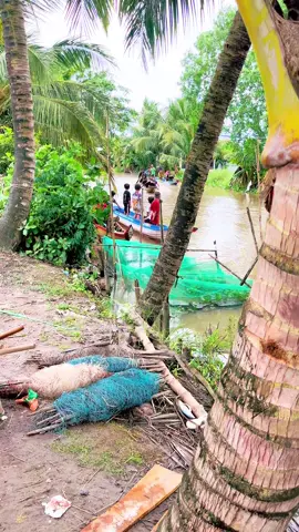 Ngày mai bơi giải nhất có tỷ gửi hà mà ae lại đong vui quá hé xóm đường trâu ty mui 68 kg