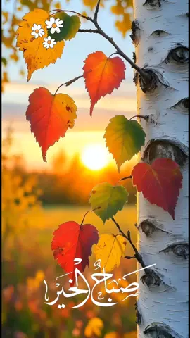 #اذكار_الصباح  #دعاء_يريح_القلوب #دعاء_مستجاب #دعاء#صباح_الخير 