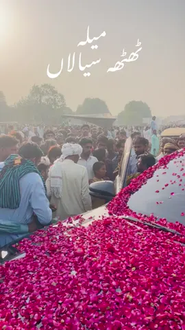 #NA175 #مہرارشاداحمدسیال_ایم_این_اے #foryou #viral #lovepakistan🌹 