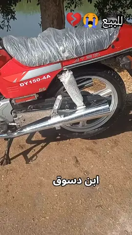 صلي على النبي زبادي#زبادي طريق فوق زبادي طريق كفر الشيخ زبادي