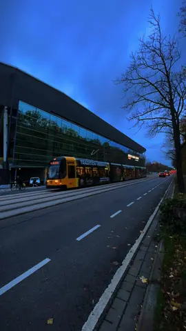 Dynamo Dresden.  #dynamodresden #sgd #dresden #fyp #tram @tram_filmerin2025 @Leo❤️ @Kilian @doar_enno_oepnvspotter @Tram&Busspotter Dresden 