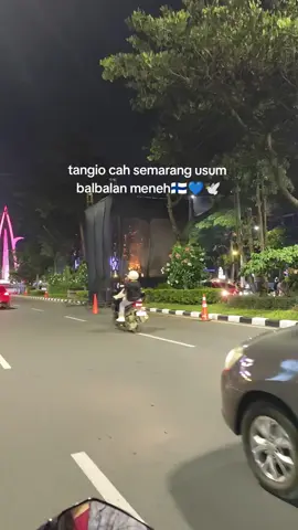 🩵🩵🩵 #psisday #psis #psissemarang #panserbiru #psistillloveyou 