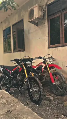 kapan yaa crf ring 17 itu terwujud🥵#crf #for #you #fyppppppppppppppppppppppp #toili