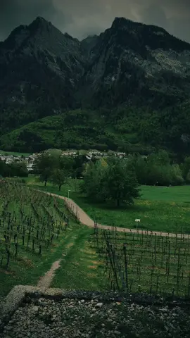 Calm and peace of the mountains 🖤🏔️🌿#relaxing #nostalgia #explore #calming #darkaesthetic 