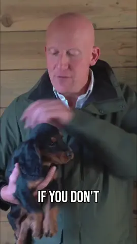 Take Your Puppy By The Scruff