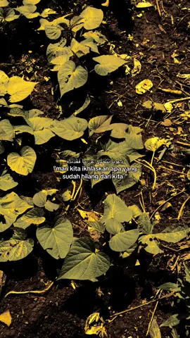 #quotesislami #syaircinta #langitaestetik #xybza #masukberandamuu 