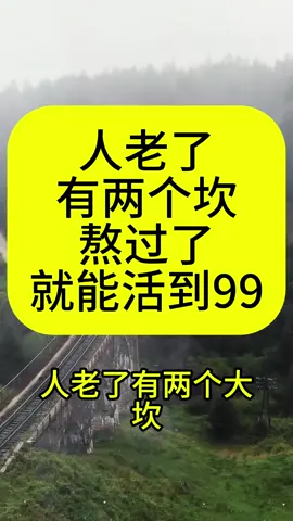 头一次喝这么豪华的豆浆！这款#黄芪党参豆浆 #黄芪 #党参 真的适合女孩子！#仙女都在喝什么 #豆浆 