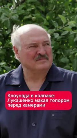 Лукашенко в колпаке: дрова, одышка и показуха  #лукашенко #беларусь #новости #мемы #тиктокбеларусь #новости #смешно #видео