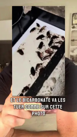 Cette astuce est efficace à tous les coups !