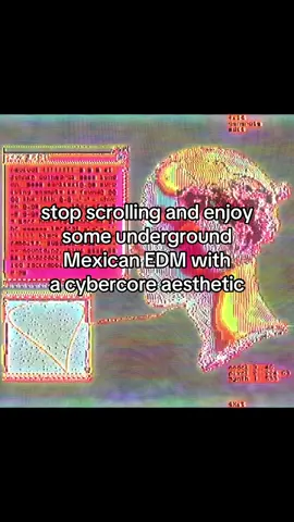 Stop scrolling! cybercore edit #musicaelectronica #musicanueva #cybercoreaesthetic #cybercore #edm 