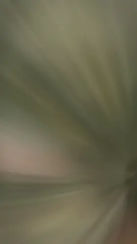 hôm nay mê T01 chút nhéee✨️🥹 #t01 #hvannd  #CAND #xhh 