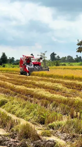 #ព្រូថ្មី😂 