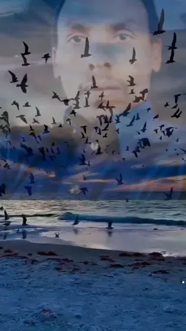 الرياض 💔💔