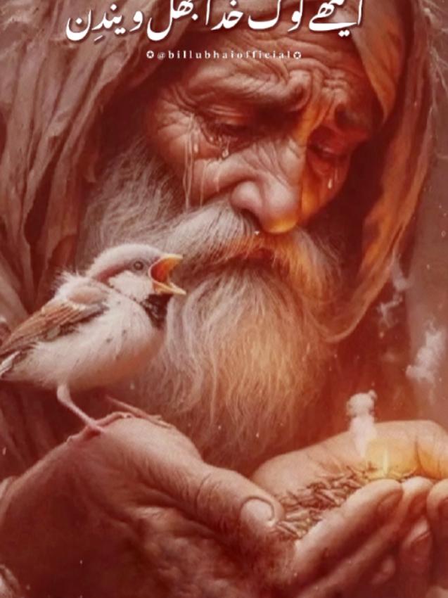 #creatorsearchinsights #learnontikton🔥 #trending #dil_ki_baat🥀 #foryoupage❤️ 