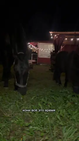 Немножечко о нас😂❤️