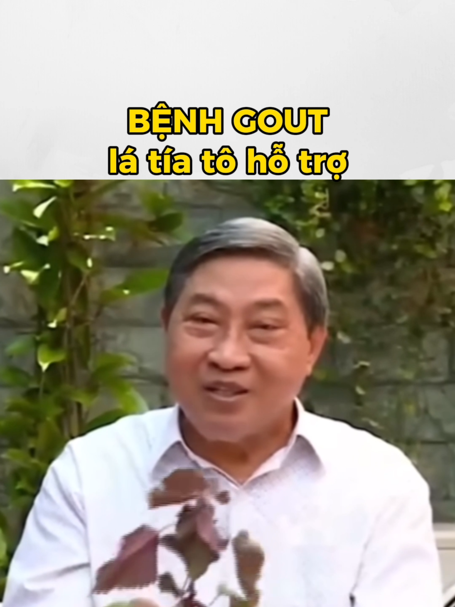 Bệnh gout #latiato #camcum #lamdepda #tieuduong #gout #nguyencongduc #baithuochay #baithuocdangian #xuhuong #LearnOnTikTok #viral