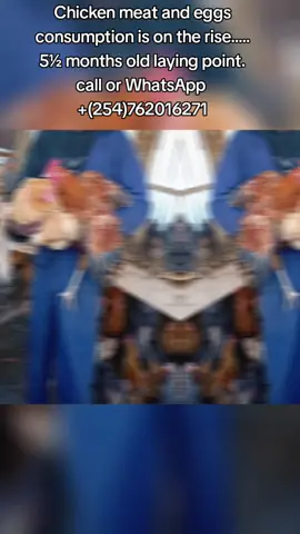 Stay near winners... They will never mock you for trying.... Chicken meat and eggs consumption is on the rise..... The demand for these products isn't matching the supply any time soon since many people fear trying....