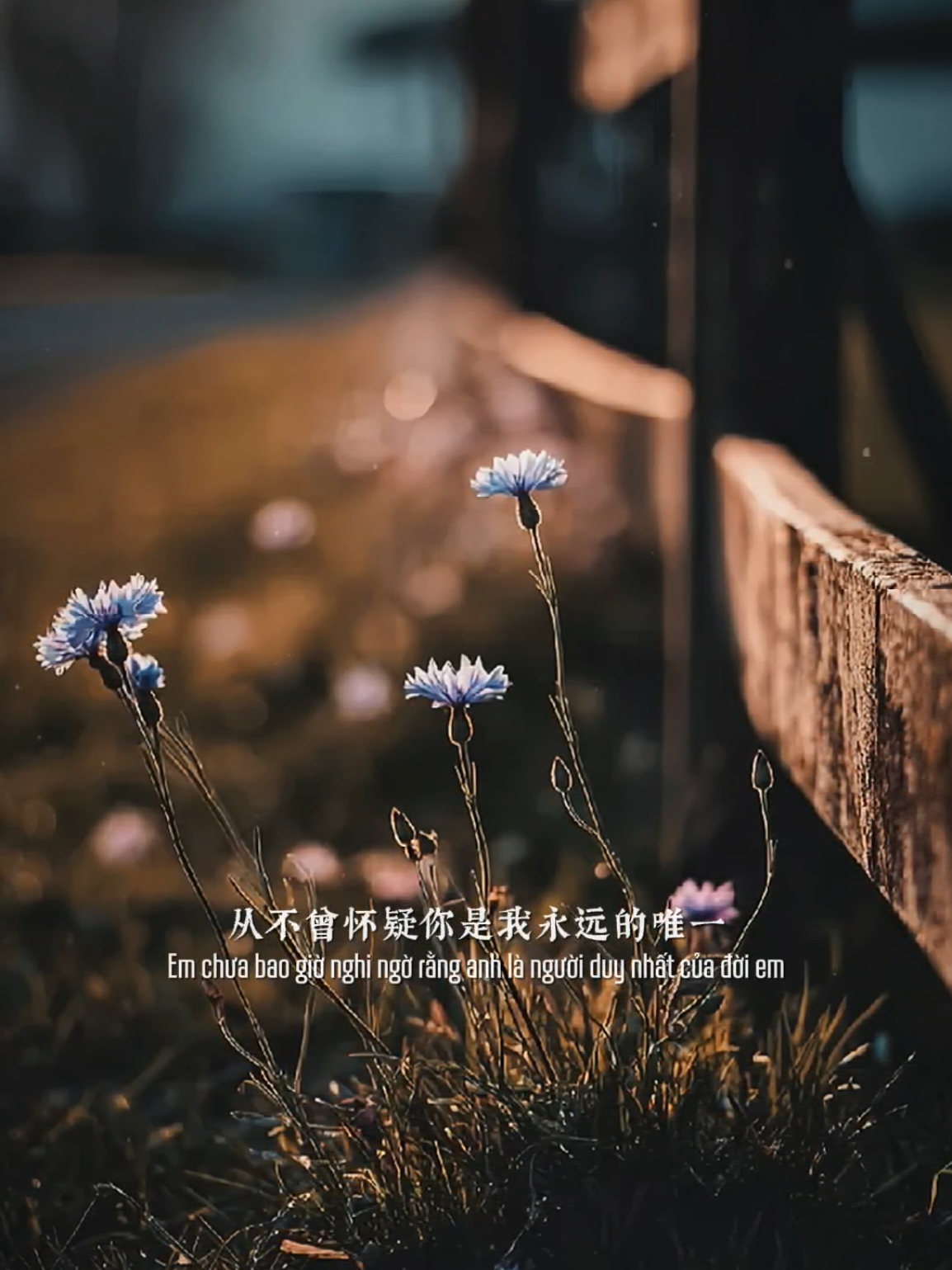 Love you and love me Yêu anh và cũng yêu chính mình... #nhachaymoingay #nhactrung 