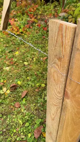 Simple fence #goviralvideo #fyp #viral_video 