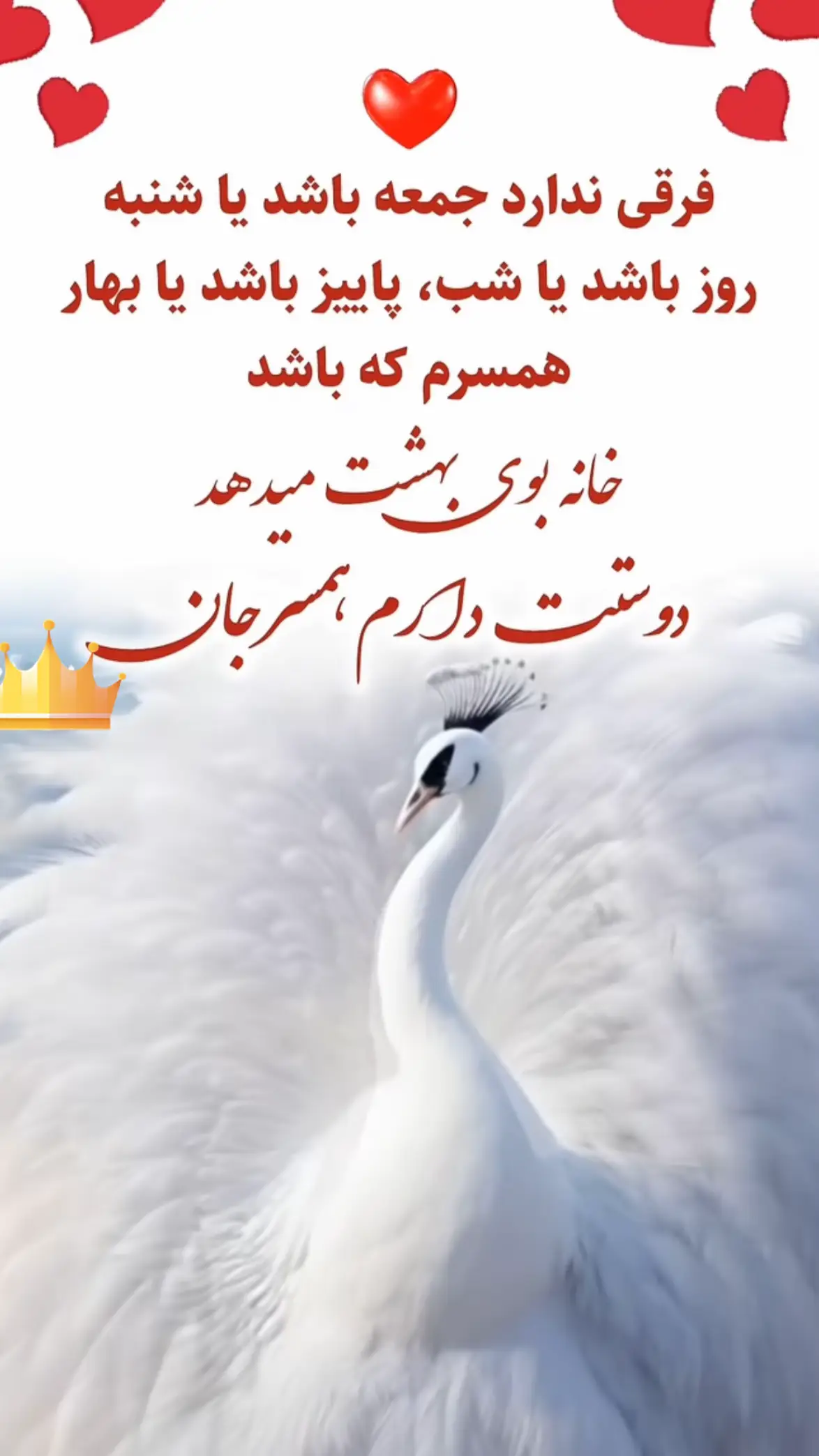 @AFG PLUS #❤️❤️🌹🌹❤️❤️🌹🌹 