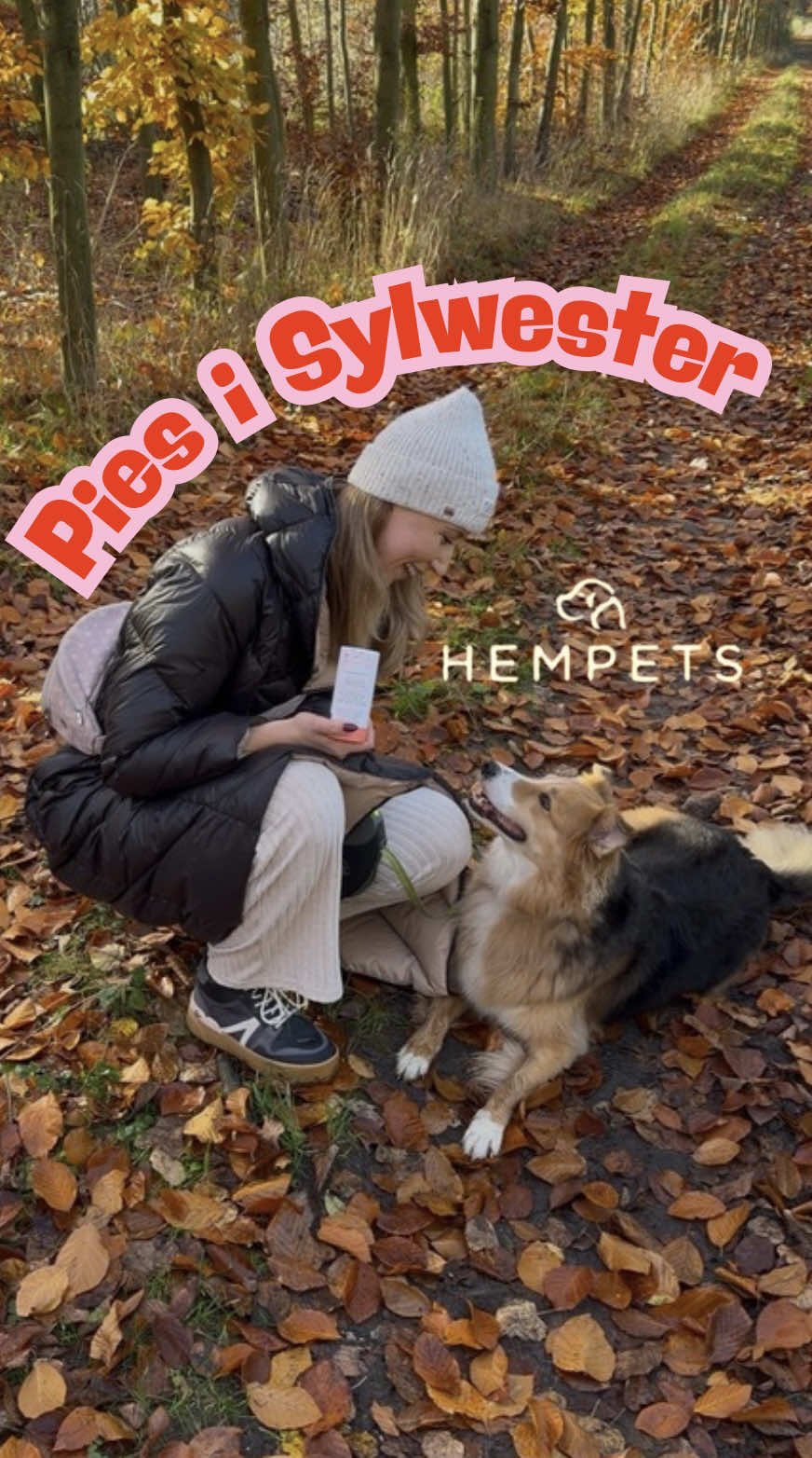 PIES I FAJERWERKI - ZACZYNAMY JUŻ TERAZ 🎆🐶 Wiele osób dziwi się, że nagrywamy film o fajerwerkach już teraz, ale… to tak naprawdę ostatni moment, aby zacząć wspierać swojego psa przed tym trudnym okresem 🫶🏻 Im wcześniej zaczniemy, tym większa szansa, że Sylwester będzie spokojniejszy, ponieważ  huki pojawiają się często na długo przed 31 grudnia, a zdarzają się nawet kilka dni po Nowym Roku.  OD CZEGO ZACZYNAMY? ✅ Włączamy dźwięki fajerwerków na najcichszym poziomie: na głośniku, telewizorze czy telefonie. ✅ W tle lecą huki, a Wy… zwyczajnie się bawicie lub ćwiczycie ulubione sztuczki. Pies ma kojarzyć dźwięk z czymś miłym, normalnym i przyjemnym. 📈 STOPNIOWO zwiększamy głośność. Gdy pies ogarnia wszystkie głośniki w domu, to prosimy kogoś bliskiego o dodawanie kolejnych bodźców na przykład takich jak: 🔹 lekkie uderzenia w garnki 🔹 hałasujące urządzenia 🔹 różne nagłe dźwięki (Oczywiście… warto najpierw uprzedzić sąsiadów o planowanym „koncercie” 😅) Kiedy psy czują się komfortowo w domu → przenosimy trening na zewnątrz, ponownie od najcichszego poziomu do maksymalnego. Cały czas: zabawa, trening, smaczki, luz, zero presji. Cel? Zneutralizować huk i zamienić go w sygnał: „ooo, fajny czas z opiekunem!” 💗 DLACZEGO ŁĄCZYMY TO Z CBD? Suplementy CBD od Hempets realnie wspierają psy w sytuacjach stresowych: 💚 pomagają obniżyć napięcie 💚 łagodzą lęk 💚 zmniejszają pobudzenie nerwowe związane z hałasem CBD działa na receptory układu endokannabinoidowego, czyli miejsca odpowiedzialne za regulację stresu. To naturalne wsparcie, które świetnie łączy się z treningiem. 🔸 Ważne: dobór odpowiedniej dawki po konsultacji z ekspertami Hempets lub weterynarzem. KAŻDY PIES UCZY SIĘ W SWOIM TEMPIE ⏳ niektóre potrzebują tygodnia ⏳ inne kilku tygodni lub miesięcy Przy psach po traumach – proces może być dłuższy i wymagać dodatkowych rozwiązań. Najważniejsze: ✅ cierpliwość ✅ konsekwencja ✅ działanie dwutorowe: trening + suplementacja A NA KONIEC… Dla wielu ludzi to „tylko fajerwerki”. Ale huk może przerażać nie tylko psy: 🦌 zwierzęta leśne 👶 malutkie dzieci 👵 osoby starsze 🐱 również inne domowe zwierzęta Warto czasem pomyśleć szerzej i mieć trochę serca dla tych, którzy boją się bardziej niż my 🩷 #piesisylwester #ambasadorhempets #saltonat 