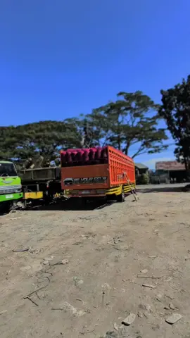 #CapCut expedisi LLB (Lang-Lang Buana)  Rute (Kalimantan Barat - Jakarta) #expedisi  #jengkol 