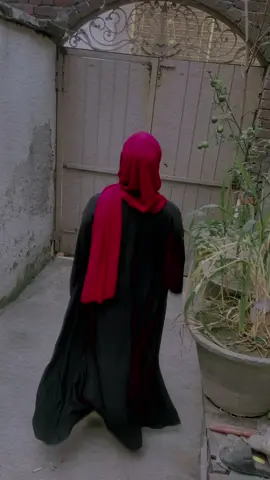 Fox❤️#mylifemystyle😎😎 