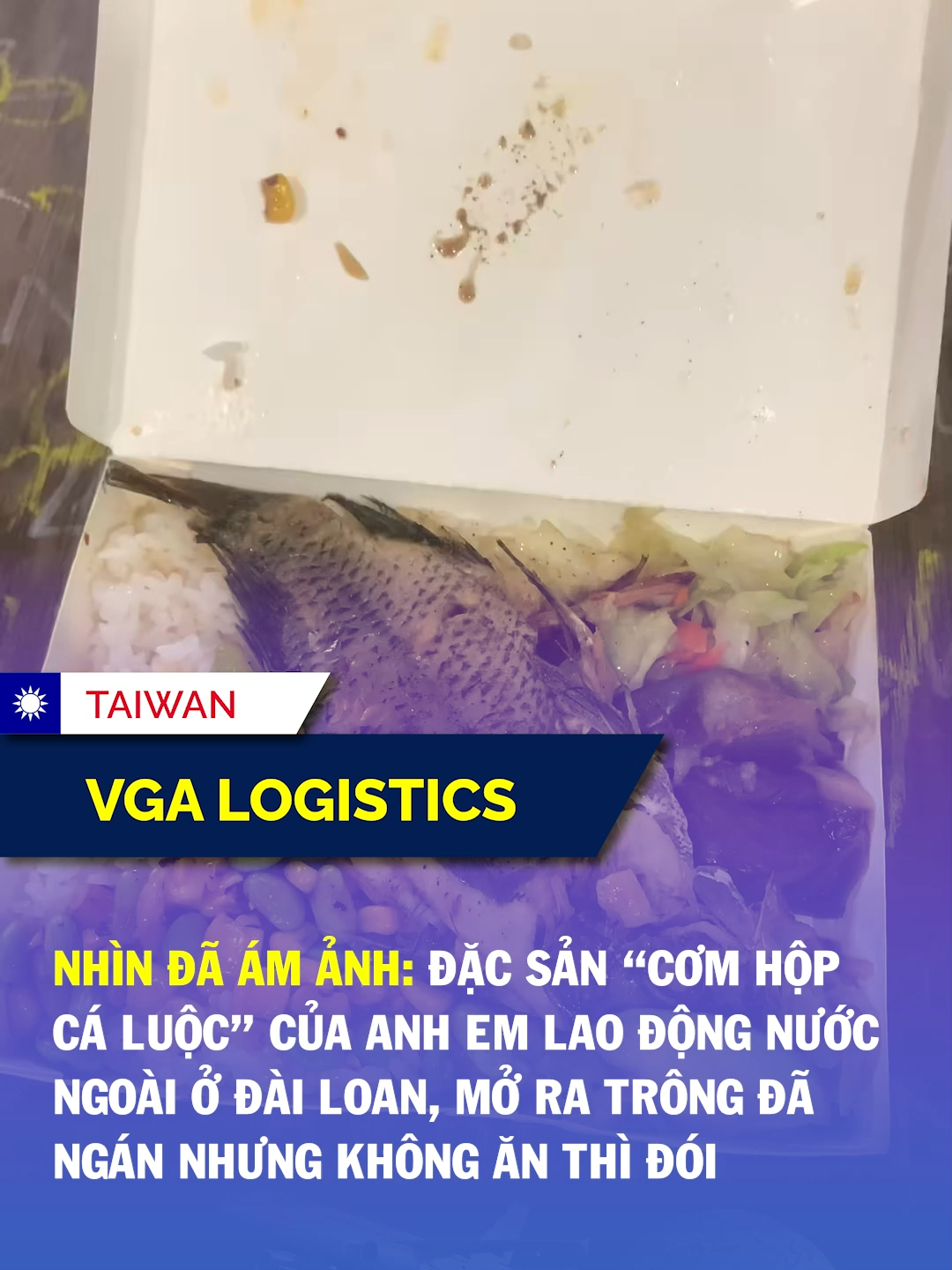 Nhìn đã ám ảnh #vgalogistics #vgataiwan #dailoan #taiwannews #tiktokews #nguoivietodailoan #taiwan