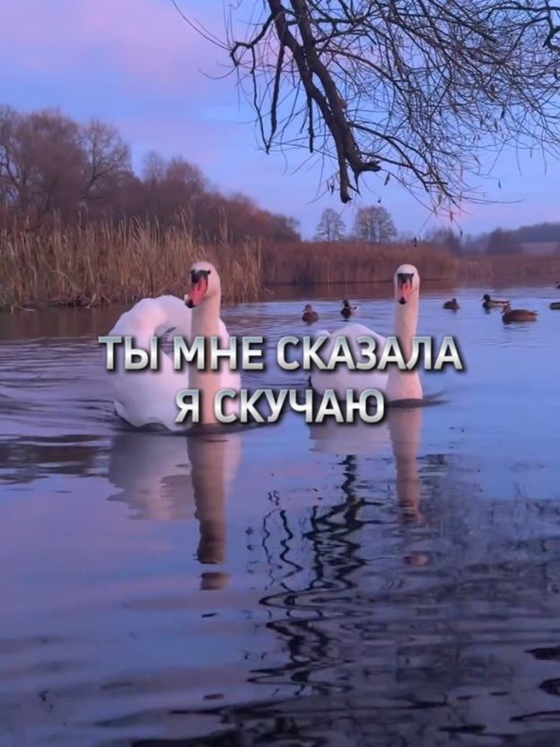 Мы с тобою два крыла.