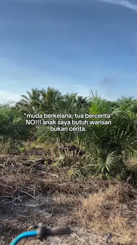 #fyppppppppppppppppppppppp #sawit #kebunsawit #sawitontiktok #petanisawitindonesia🇮🇩 