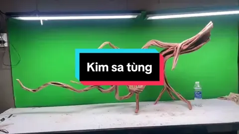 Hàng mới ra. Dài 150, rộng 40, cao 68 (4500🌾 bao cước). Anh chị cần lh nhé#xuhuongtiktok #luathuysinh #tiktokviraltrending #setupbeca #thuysinh #xuhuong #tiktokviral #tiktokviraltrending #luakimsatung 