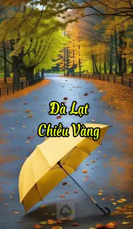 Đà Lạt  Chiều Vàng #dalat #baihathaynhat #baihattamtrangbuon #baihatdalat