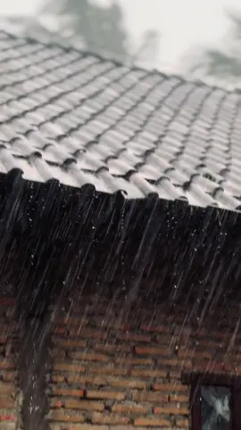 😍#ninjassr #2stroke 