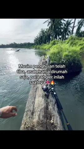 #fypage #fotolive  #storywa #foryoupage 