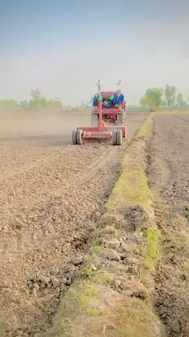 18 Modal @𝑻ᵒᵘ𝒇𝒾ǫ𝓾ᵉ  ʲᵃᵐᵃˡⁱ #toufique_ahmed10 