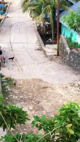 #laguwakatobi##fypageシ #baubausulawesitenggara 