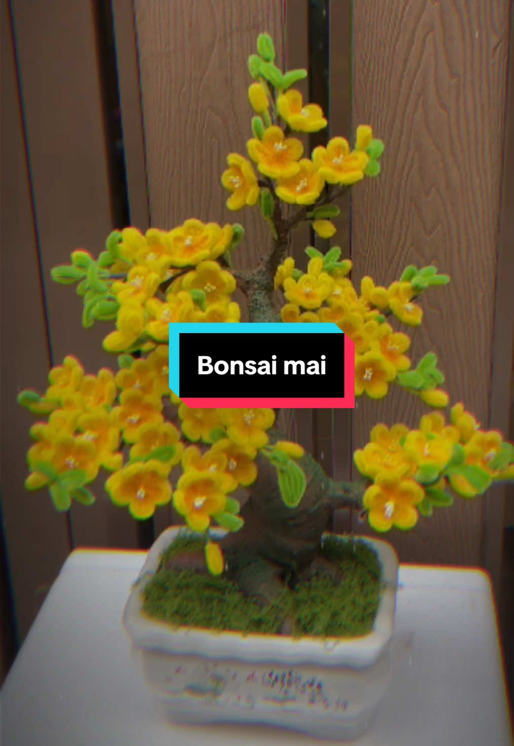 Nay biến hình luôn 😆 #hoatet #kemnhunghandmade #kemnhung #xuhuong 